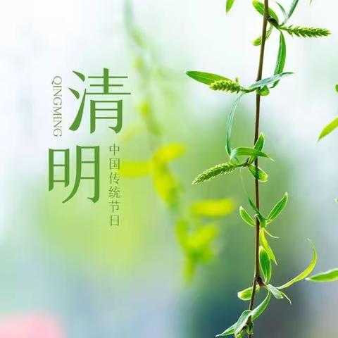 🍀浓情清明，清润童心🍀