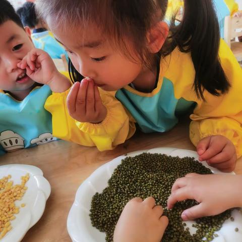 小满节气美食—“绿豆糕”