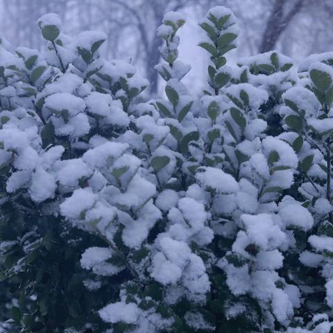 居家时光   让爱陪伴