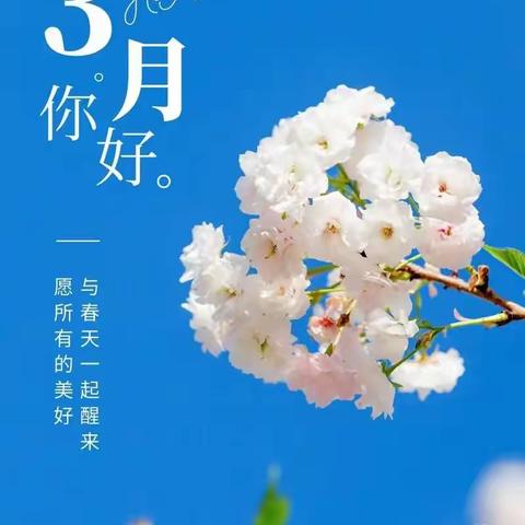 生态环境局2月份物业工作总结