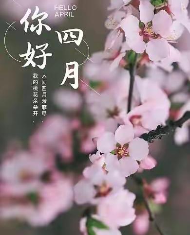 生态环境局3月物业工作总结