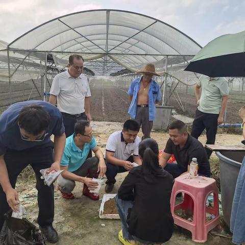 技术培训在田间  服务农民到基层