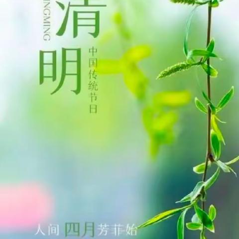 杨柳风轻，花开清明【淄幼小一】