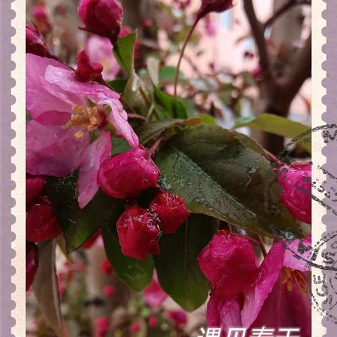 最美四月莫等闲，你“研”我“语”促成长