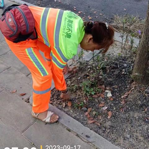 “除草模式”全面进行中，东飞三环在行动