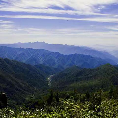 守护中央水塔，当好秦岭卫士——浐灞第二十五小学秦岭生态环境保护倡议书