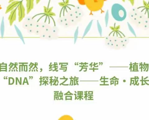 自然而然，线写“芳华”  植物“DNA”探秘之旅——生命·成长融合课程