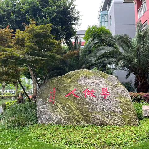 一路收获，一路成长——— 永康市少先队辅导员参观上海师范大学附属闵行第三小学南校