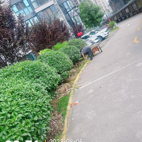 竹园华府开展绿化清洁活动
