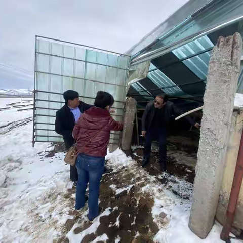 省农业农村厅赴门源 开展“4·2”门源雪灾情况核查工作