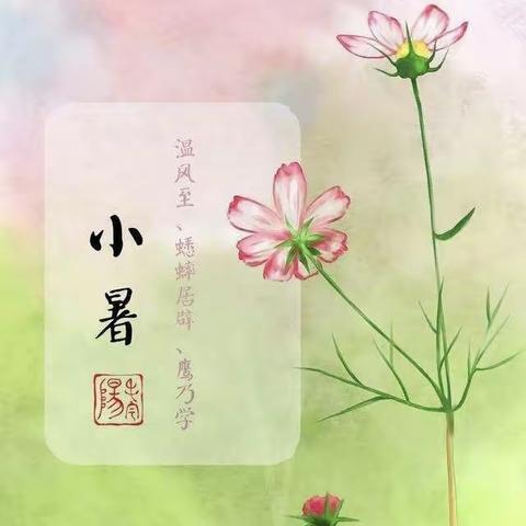 【节气活动】悄然小暑至，悠悠盛夏始——洛龙区第四实验幼儿园（北二分附属第一幼儿园）小暑节气主题活动