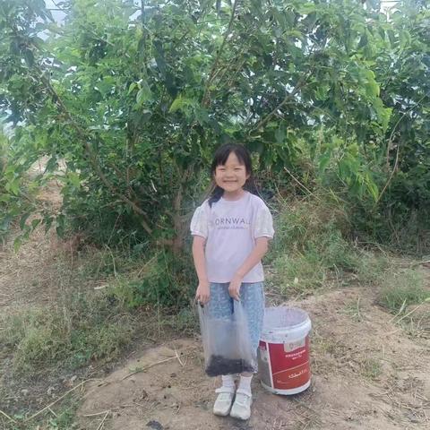 二年级暑假劳动实践纪实