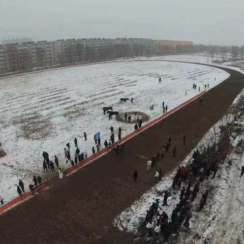 第五期伯乐赛马《伯乐杯》 诚邀山西马友爱马人士