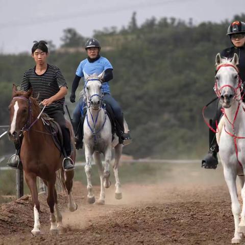 伯乐赛马俱乐部《伯乐杯》诚邀山西马友爱马人士