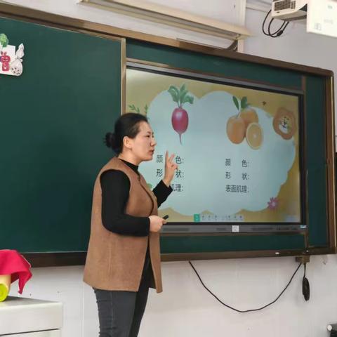 小学美术公开课《自然的馈赠》教学纪实