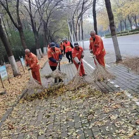 兖州环卫细化作业措施，高效清理落叶，护航城市洁净
