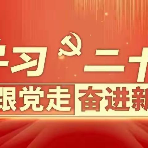 以培助长，蓄力前行——2023年全旗中小学体育教师学科培训