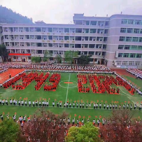 小岗位大梦想，红领巾勇担当 ——酉阳实验小学大队委换届选举活动