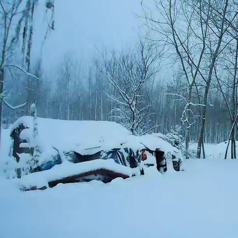 “幼”见小雪，温暖迎冬