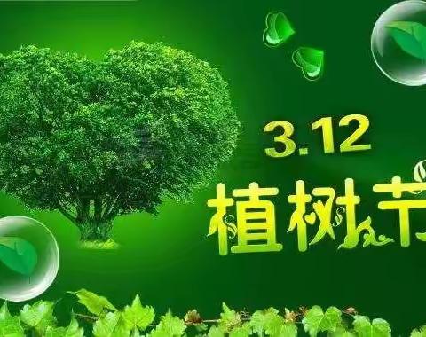 奉献绿色 收获希望—回民区铁三小2024植树节活动纪实