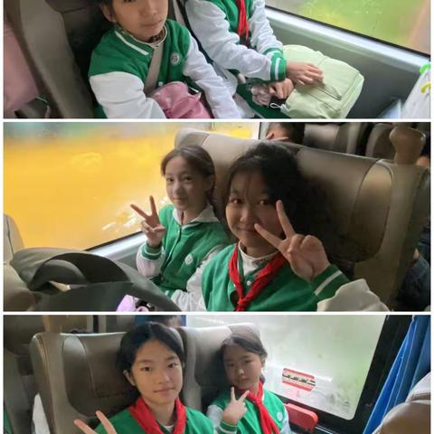 研学活动 探索与成长的旅程