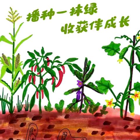 播种一抹绿 收获伴成长——文昌市文教中心幼儿园尚明分园大班种植系列活动汇报