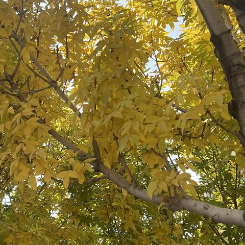 10月份重要工作总结