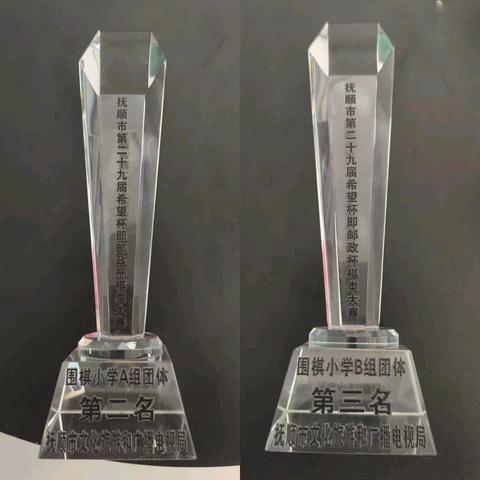 方寸棋盘间、智谋绽光芒——南阳小学