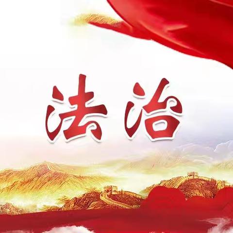 探寻法治之光，护航少年成长——南阳小学法治教育研学实践之旅