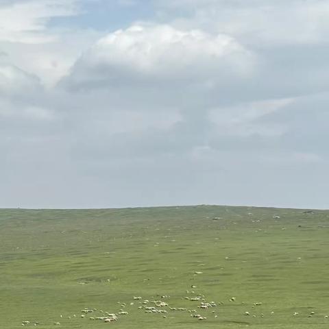 【附中学子这样过暑假】亲近自然 夏日旅行 ——忻州师范学院附属中学初12班秦嘉璐