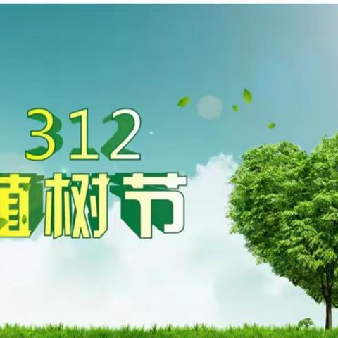 🌿“添一抹绿色，💕多一份美好”🌈清明河中心幼儿园大（2）班“3.12”植树节主题活动🌿🌲美篇