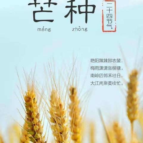 关爱学生幸福成长｜芒种芒种，幸福播种｜临漳县柳园镇中心校邓庄幼儿园