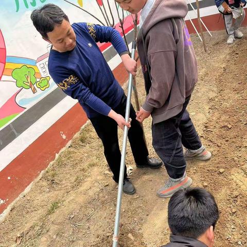 【坚持人民至上】晓一叶之理，种满怀美好 ——板桥小学六年级我为校园添新绿活动纪实