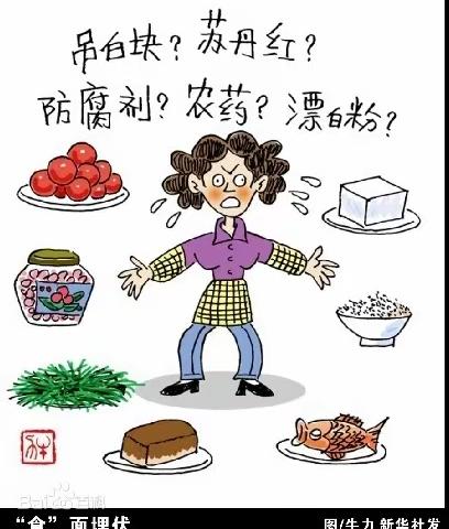 [附中学子这样过暑假]防范食物风险，共筑食品安全——忻州师院附中202207赵浩翔假期实践计划