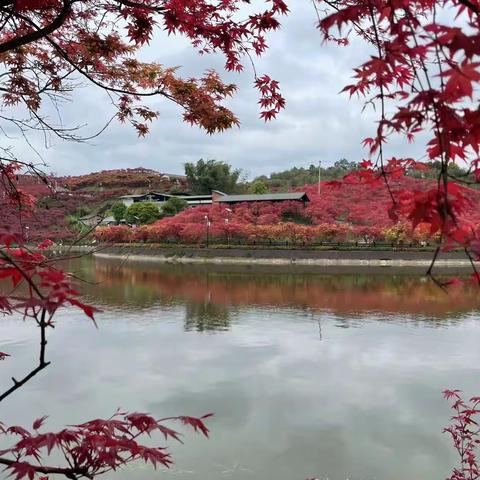 “春游季，记春游”——大大二班春游记