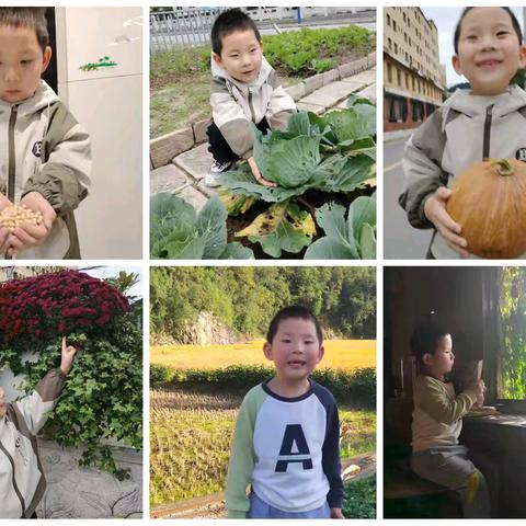 乐享自然，相遇秋收——中二班秋收亲子活动