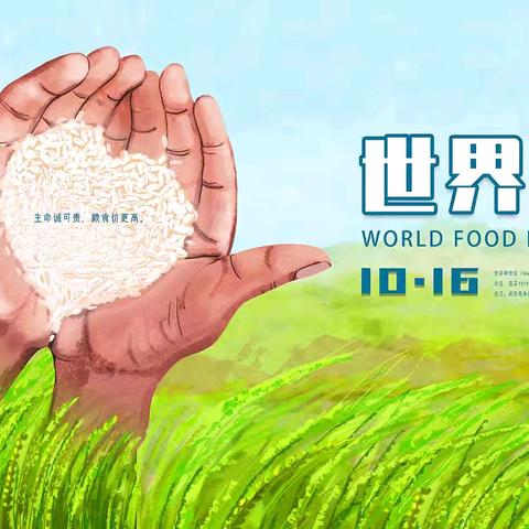 中二班世界粮食日主题活动