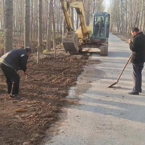 朱洪庙镇路域环境提升显著