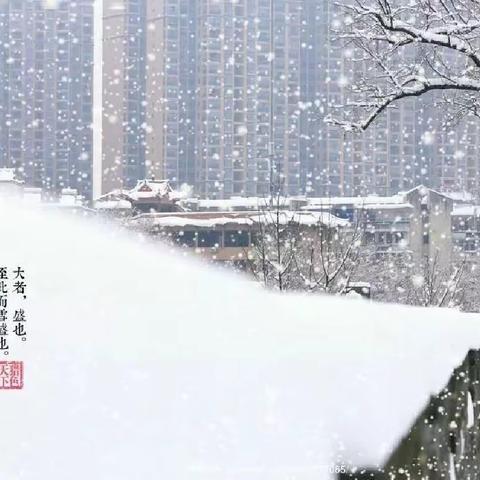 飞雪靓校园 除雪暖人心——新中初中除雪掠影