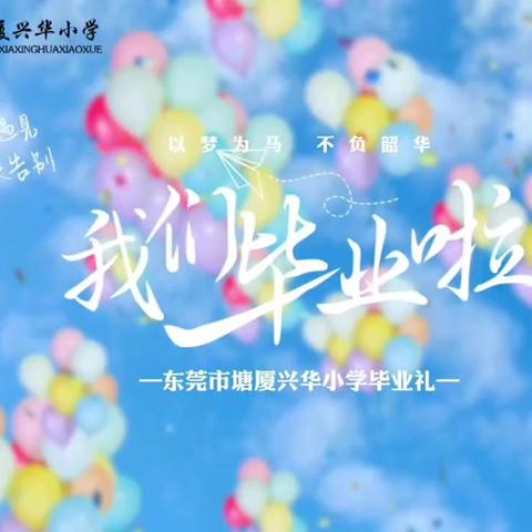 “季”忆留“夏”，时光有你💖——兴华小学2024届602班毕业礼