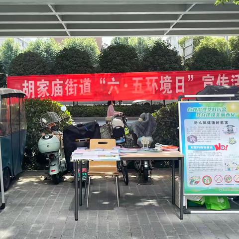 胡家庙街道“六五环境日”宣传活动