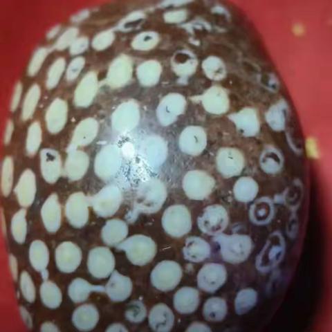 石之幻梦：渭河岸边的诗意等待