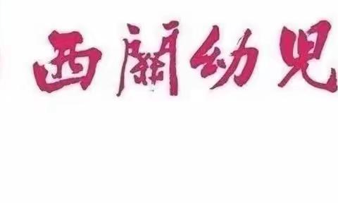 🧐启智探索游戏分享🔍-中三班