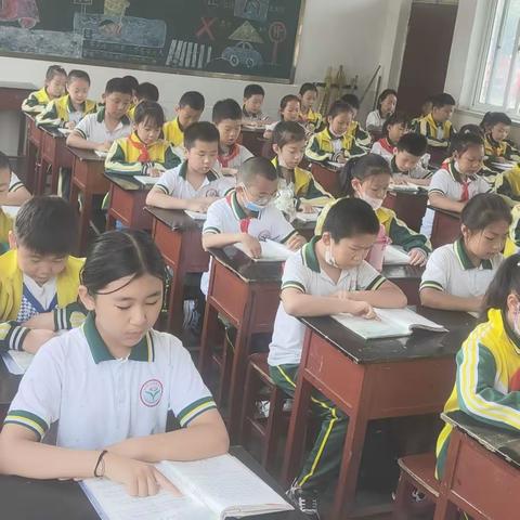 “我最想养的小动物”优秀作文选