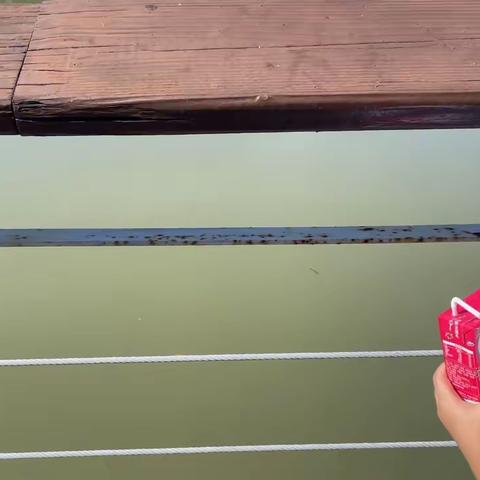 研学观察记录（一）