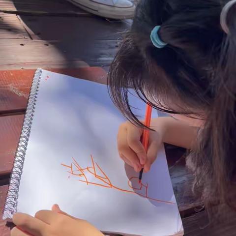 研学观察记录（二）