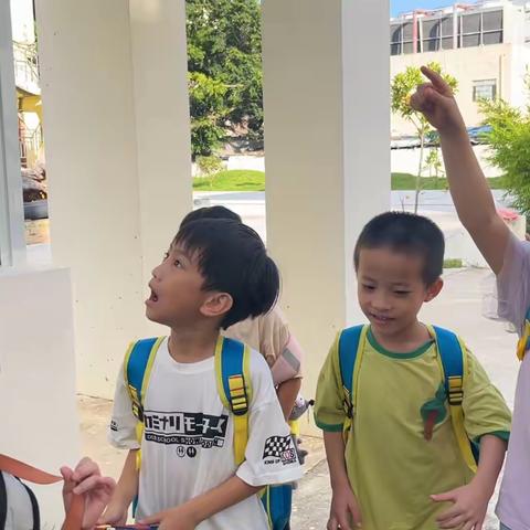 小蜗牛大发现——大一班班本课程