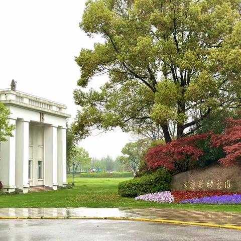 宋幼跟岗日记（一） 2024年4月8日 天气：下雨 温度：13度