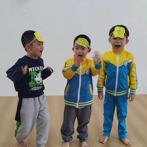 中二班语言活动《昆虫大赛课时二》精彩层现