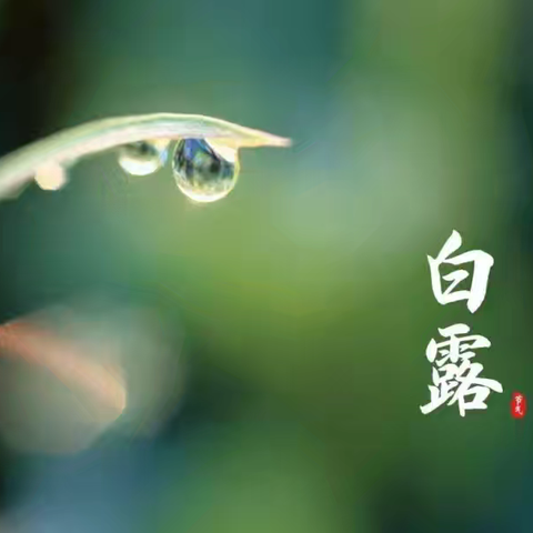 凉风至 白露生——阜南县玉泉幼儿园二十四节气——白露节气主题活动